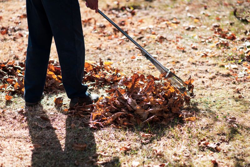 Leaf Density