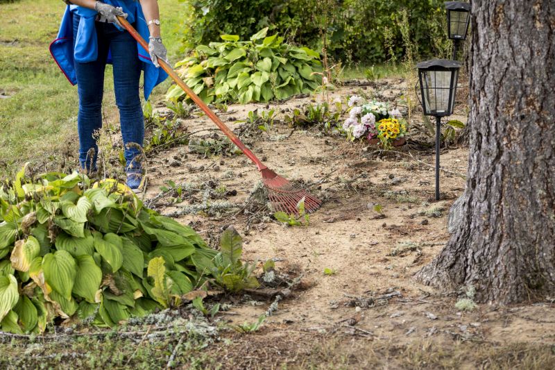 Leaf Raking Services for a Clean Yard