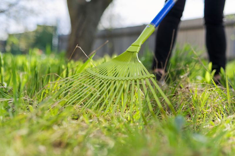Leaf Raking Service Promotions