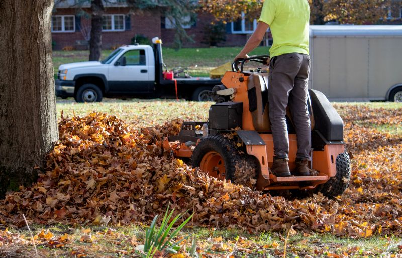 Leaf Raking Services