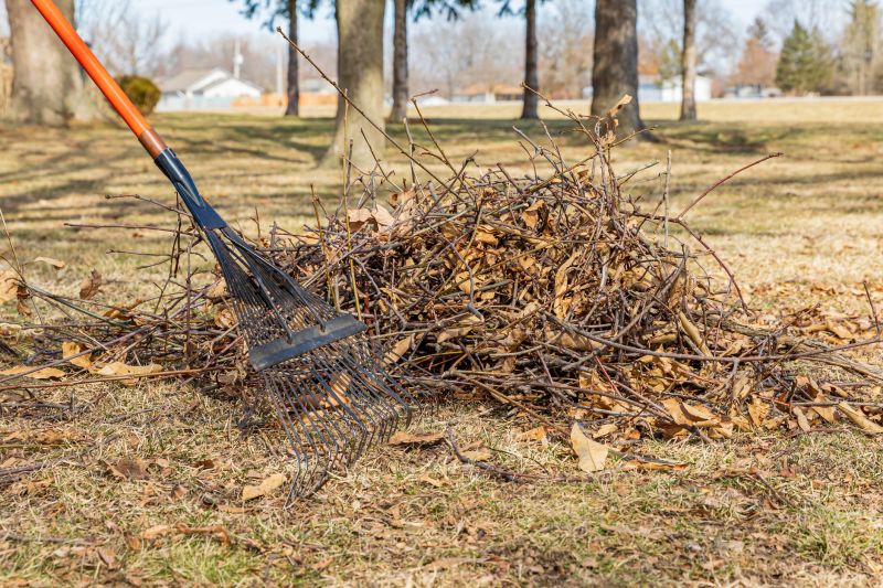 Leaf-Free Lawn