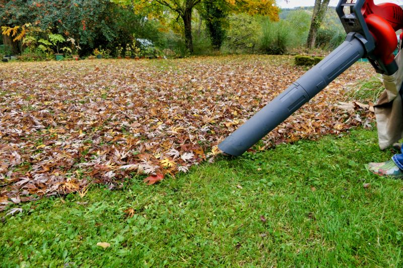 Equipment Used for Leaf Raking