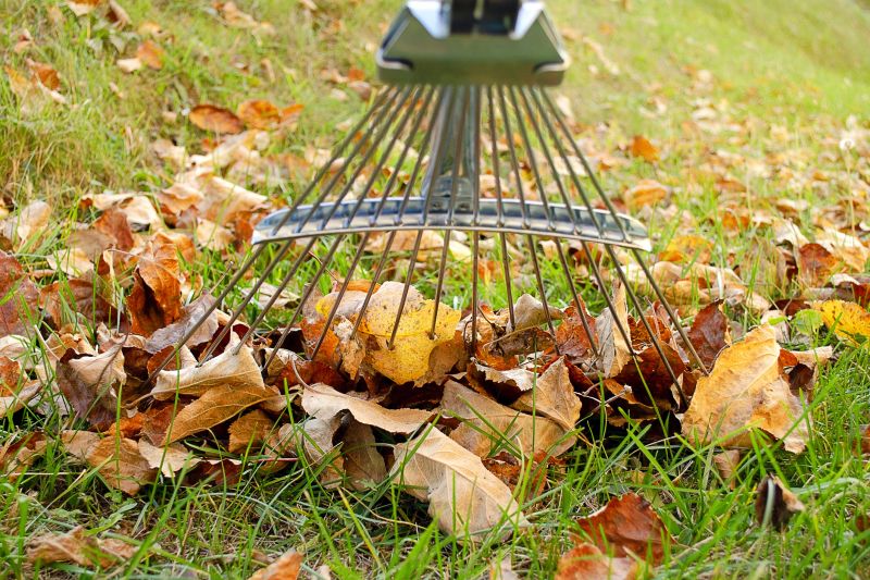 During Leaf Raking