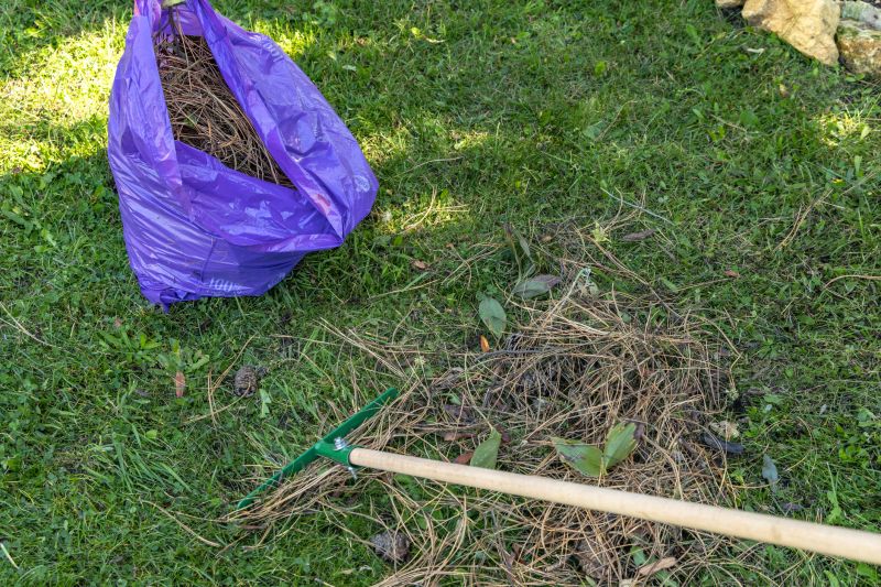 Leaf Raking Services