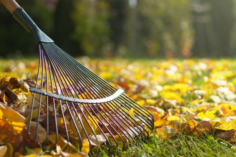 Leaf Raking Services