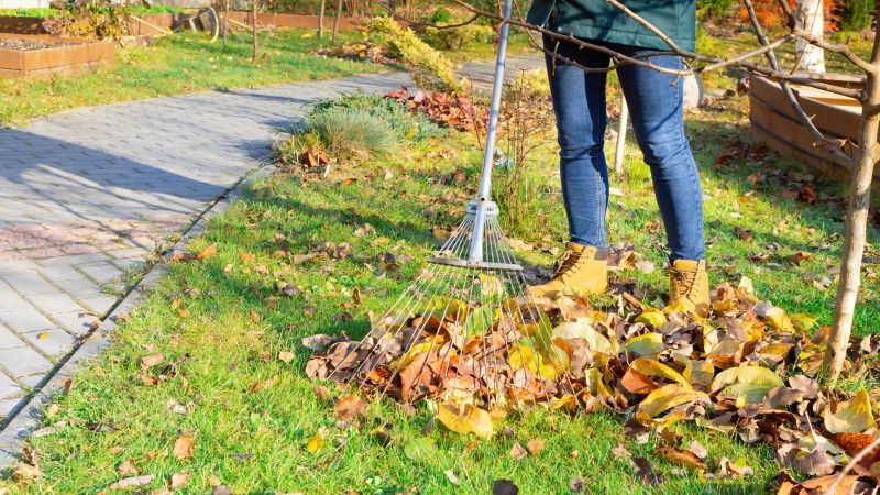 Leaf Raking Services