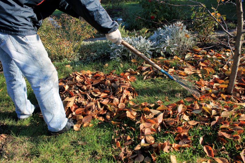 Leaf Raking Services