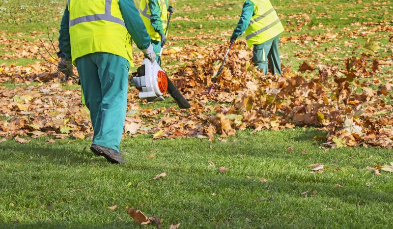 Leaf Raking Services