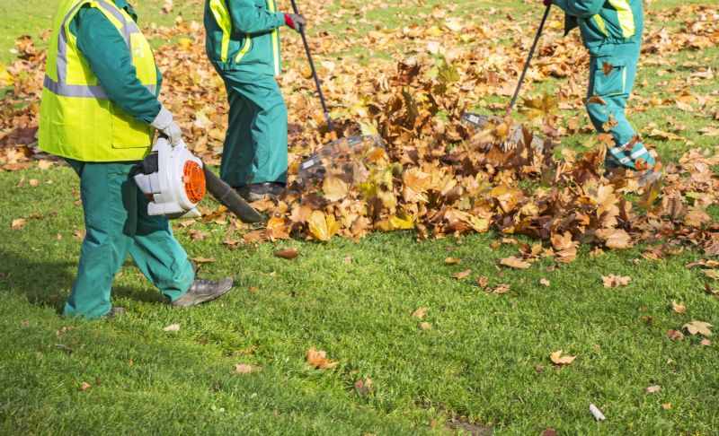 Leaf Raking Services