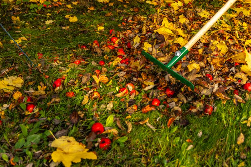 Leaf Raking Services